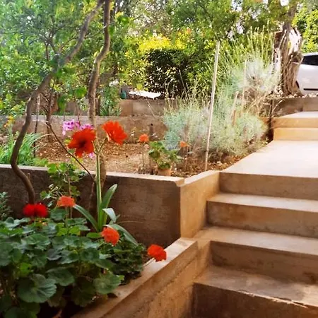 Homestay Apartman Lemon